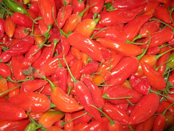 regular peppers